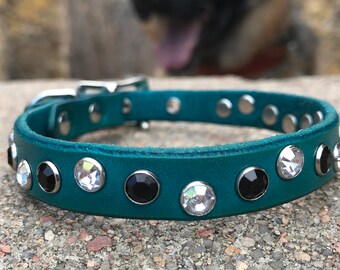Collare in pelle per cani: verde acqua con strass neri e trasparenti, femminile, adorabile
