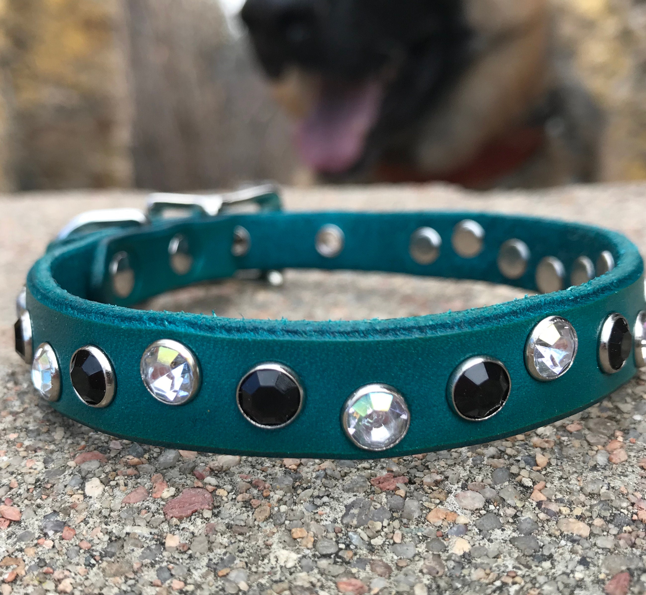 Leather Dog Collar Teal With Black and Clear Rhinestones, Girly