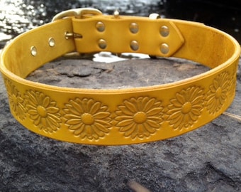 Collare per cani in pelle: Daisy 1,25" giallo con goffratura metallica dorata