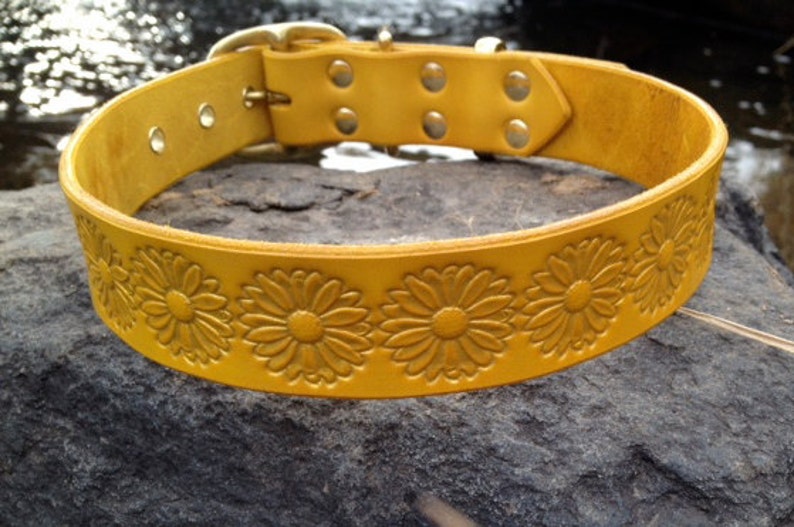 Leather dog collar Daisy 1.25 yellow with gold metallic embossing