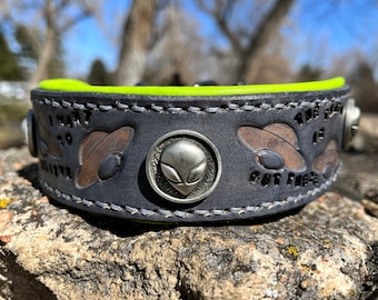 Collare per cani in pelle grigio UFO con hardware alieno e fodera in pelle di agnello verde lime