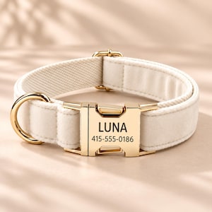 Op de afbeelding: Een crèmekleurige halsband voor huisdieren met een goudkleurige metalen gesp die aan de zijkant opent. De gesp is gegraveerd met de naam LUNA en het telefoonnummer 415-555-0186. De halsband heeft een bijpassende gouden D-ring en een schuif.
