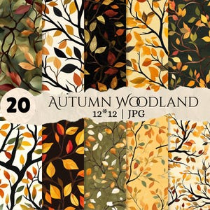May include: A collection of 20 digital paper patterns titled Autumn Woodland 12*12 JPG, featuring various illustrations of tree branches with colourful autumn leaves in shades of orange, yellow, red, and green against light and dark backgrounds.