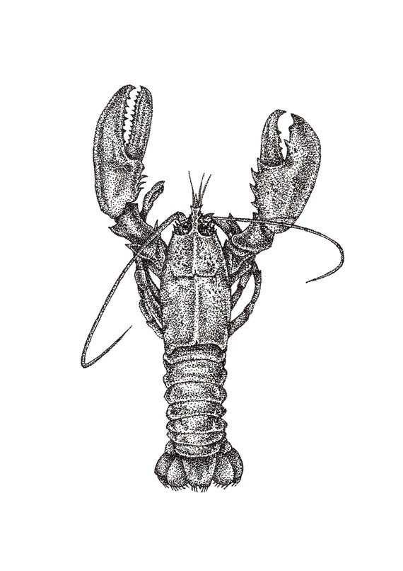 Pointillism. Omar poster. Graphic poster. Animal lobster. | Etsy