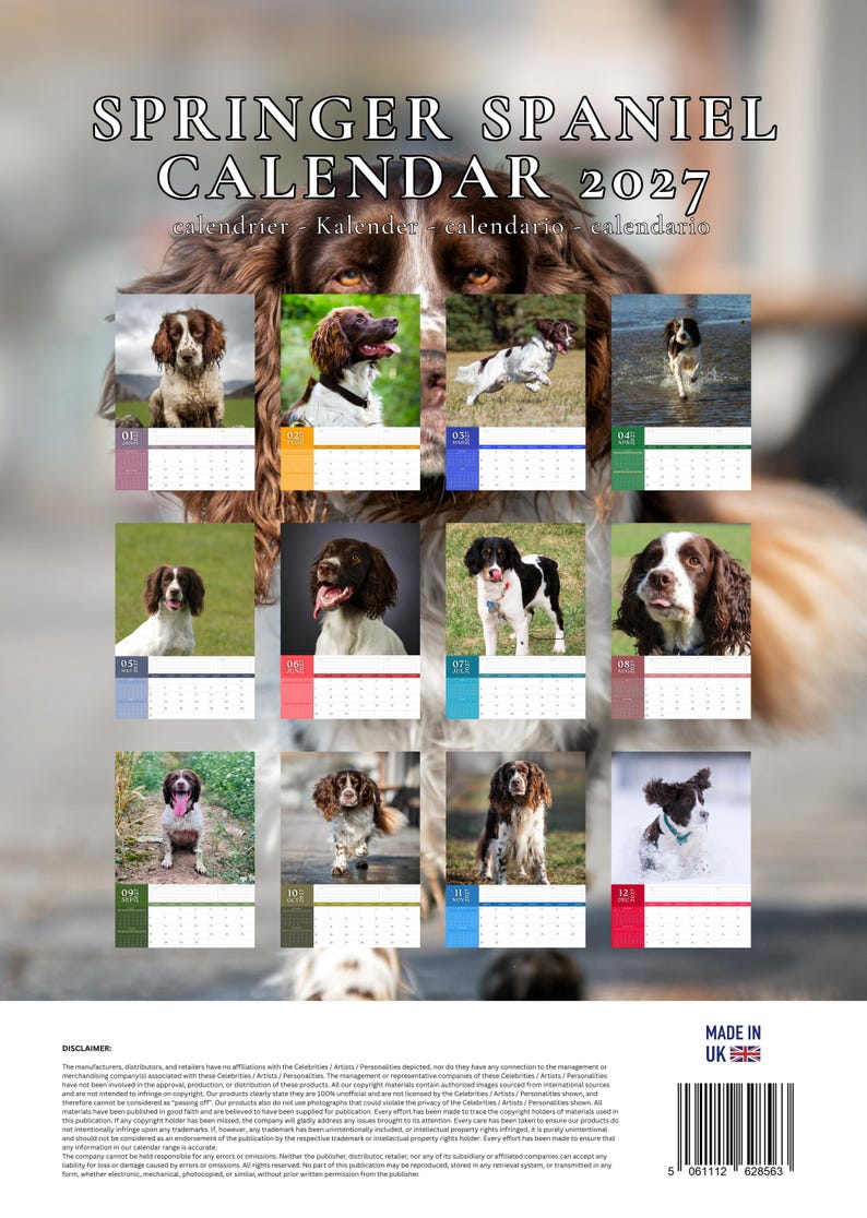 Springer Spaniel Dogs A3 (M) Calendar– 2027 Large A3 Yearly Wall ...