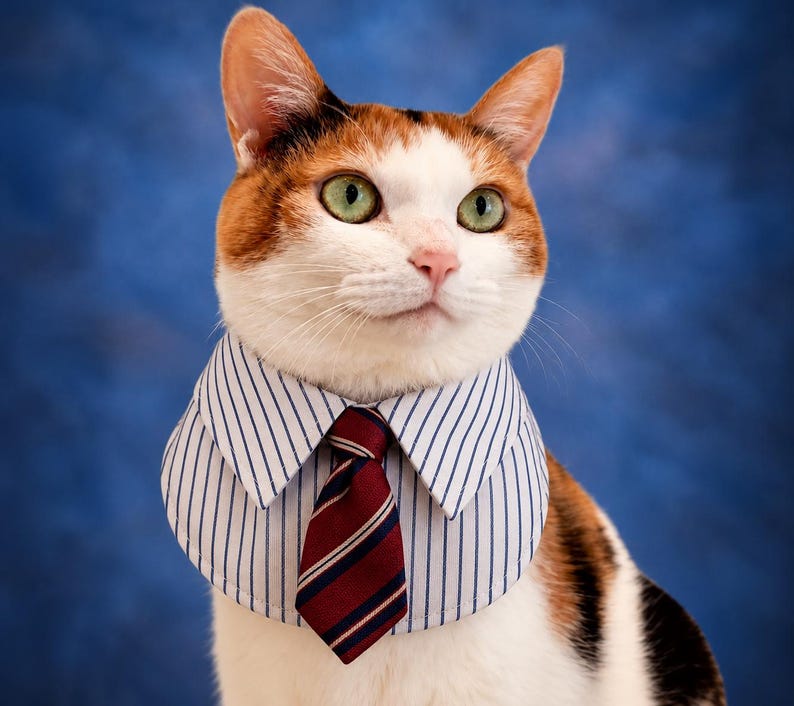 7 Designs Cat Shirt Collar With Tie Sewing Pattern PDF, Pet Bib Collar ...