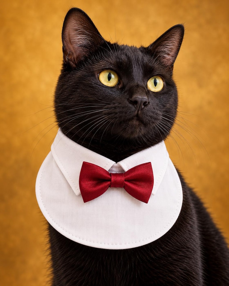 7 Designs Cat Shirt Collar With Tie Sewing Pattern PDF, Pet Bib Collar ...