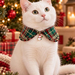 May include: A white cat wearing a green and red plaid pet collar with a small snowman charm. The collar features a rounded, ruffled edge design and a metal ring holding the snowman pendant, which has a white body, red hat, and scarf.