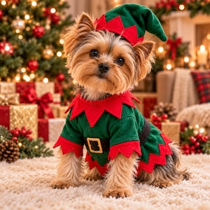 May include: A small Yorkshire Terrier dog wearing a green and red elf costume. The outfit includes a pointed hat with a red trim, a collar with pointed edges, and a black belt with a gold buckle. The dog has tan and black fur.