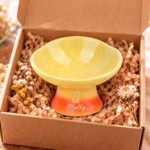 May include: A yellow ceramic pet bowl with a pedestal base that transitions into an orange hue at the bottom. The base features a white line drawing of a cat silhouette above the name Molly written in a white cursive script font.