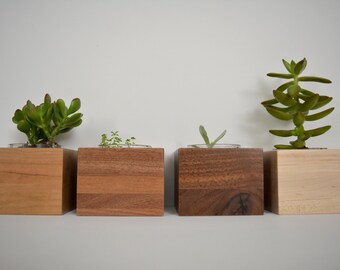best succulents for window box windowsill succulent planter planter box box centerpiece cactus pot flower container wood pot planter etsy best succulents for window box windowsill succulent planter planter box box centerpiece cactus pot flower container wood pot planter etsy