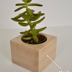 Succulent Planter Succulent Planter Box Planter Box - Etsy