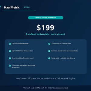 Starter custom workbook pricing graphic: $199 for a defined deliverable, not a deposit. Up to 3 Excel worksheets, up to 5,000 rows of source data, one dashboard or summary view, formulas, charts, tables and error checks, one consolidated revision round, setup guide, editable xlsx delivered in 7 business days after scope acceptance. Larger projects quoted before work begins.