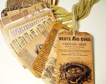 10 stuks BOEKPAGINATAGS - vintage-geïnspireerde cadeaukaartjes met antieke boekpagina's en tekst, bruiloftwenskaartjes, mooie cadeauverpakking hangkaartjes