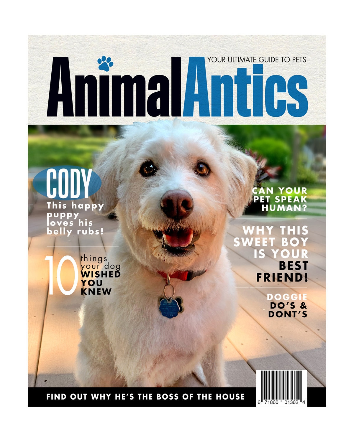 Aangepaste PET Magazine Cover / Gepersonaliseerde Hond Etsy Nederland