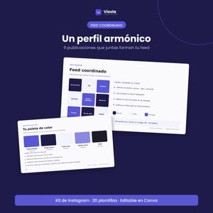 Feed coordinado de 9 publicaciones y guía de paleta de color para un perfil de Instagram armónico.