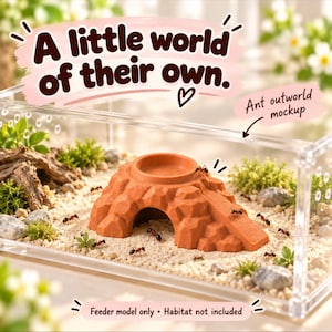 May include: A terracotta-coloured ant feeder model with a textured rock-like surface and a central circular basin, placed inside a clear acrylic enclosure. The text reads: A little world of their own. Ant outworld mockup. Feeder model only. Habitat not included.