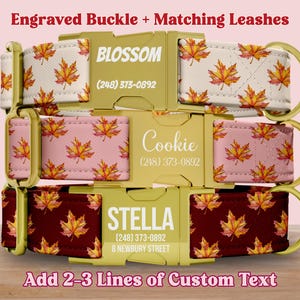 Maple Dog Collar Leash Set Personalized, Engraved Metal Buckle Dog Collar Custom Name Plate Pet, Maple Leaf Dog Collar and Matching Leash