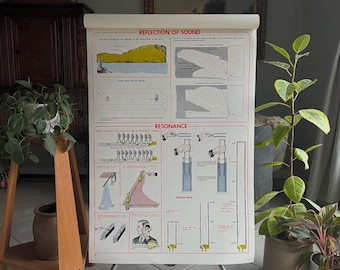 Vintage schoolkaart, weerkaatsing van geluid Vintage natuurkundekaart, poster wetenschapskaart 1952, 42 x 29 inch, N. Henry Black