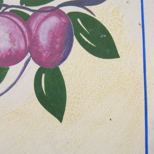May include: Close-up of a painted design featuring two purple plums with green leaves on a cream-colored background. The design is framed by a blue border, creating a vintage aesthetic.