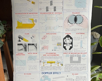 Vintage School Chart, Polarization, Vintage Physics Chart, 1952 Science Chart, 42” x 29”, Vintage Science Poster by N. Henry Black