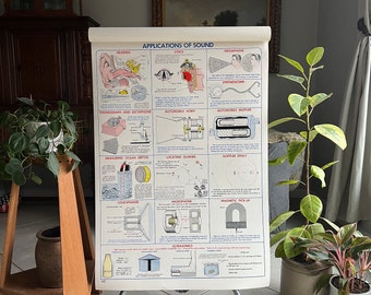 Vintage School Chart, Applications of Sound, Vintage Physics Chart, 1952 Science Chart, 42” x 29”, Vintage  Poster by N. Henry Black