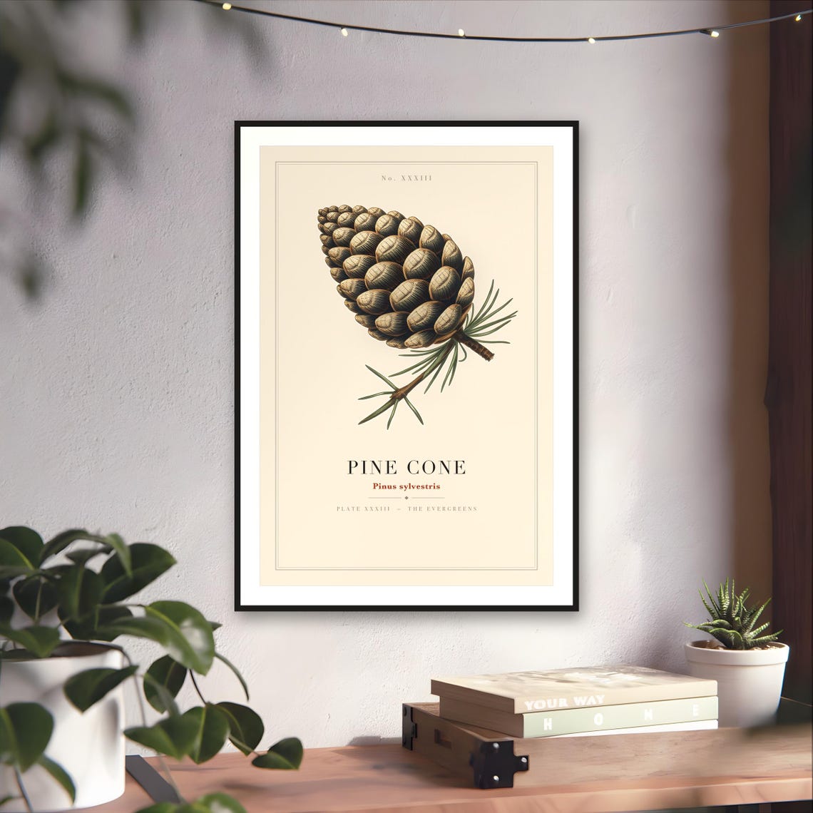 Vintage Pine Cone Specimen Plate Print — art print by WedgeAtelier