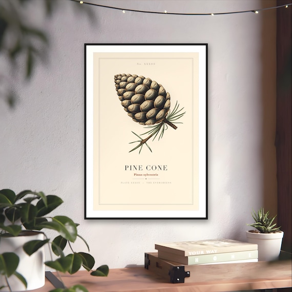 Vintage Pine Cone Specimen Plate Print — art print by WedgeAtelier