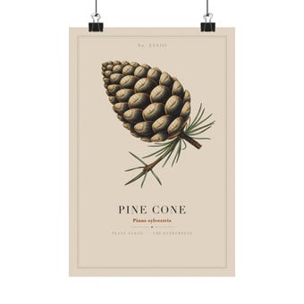 Vintage Pine Cone Specimen Plate Print photo 2