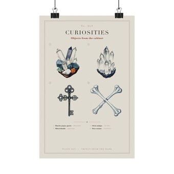 Cabinet of Curiosities Print photo 2