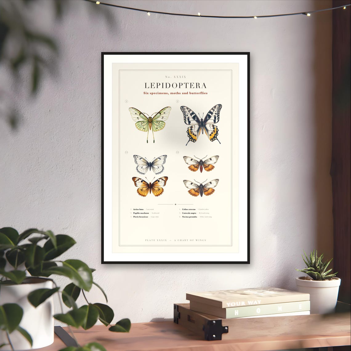 Butterfly & Moth Chart Print — art print by WedgeAtelier