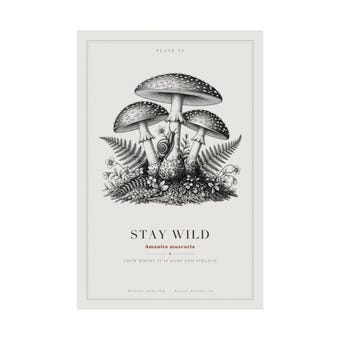 Fly Agaric Mushroom Print photo 3
