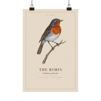 Vintage Robin Specimen Plate Print photo 2