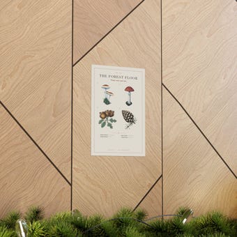 Mushroom Forest Floor Chart Print photo 5