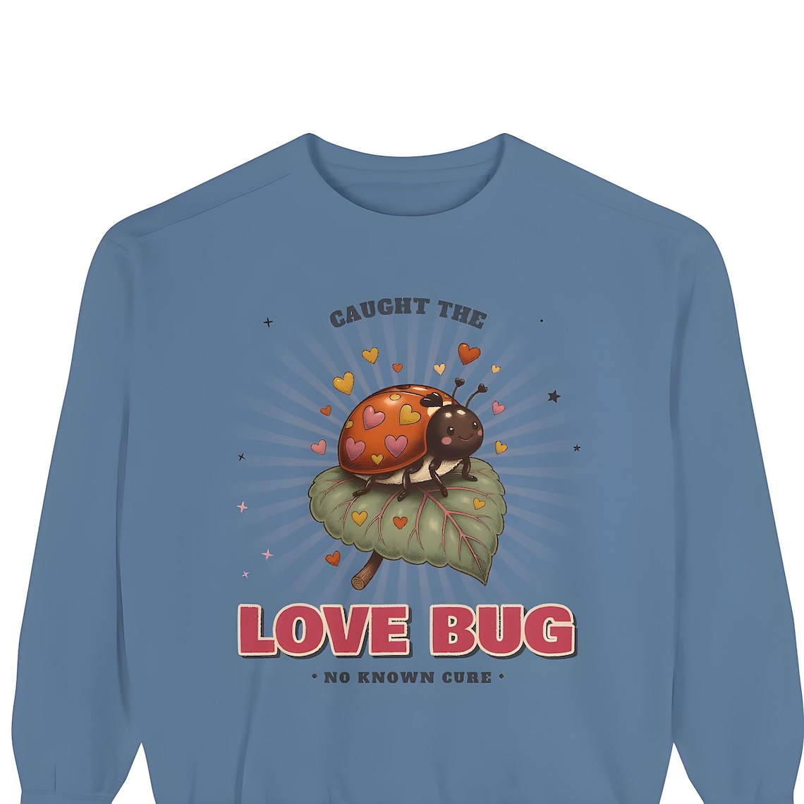 Love Bug Ladybug Sweatshirt — Comfort Colors crewneck sweatshirt by WedgeAtelier