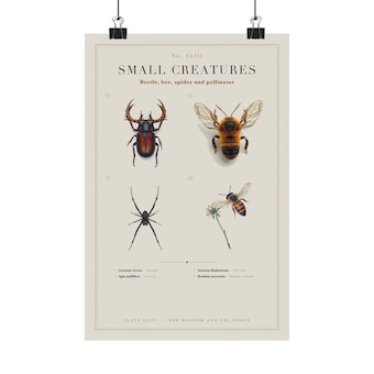 Beetle photo 2