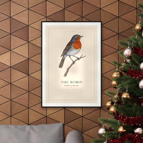 Vintage Robin Specimen Plate Print — art print by WedgeAtelier