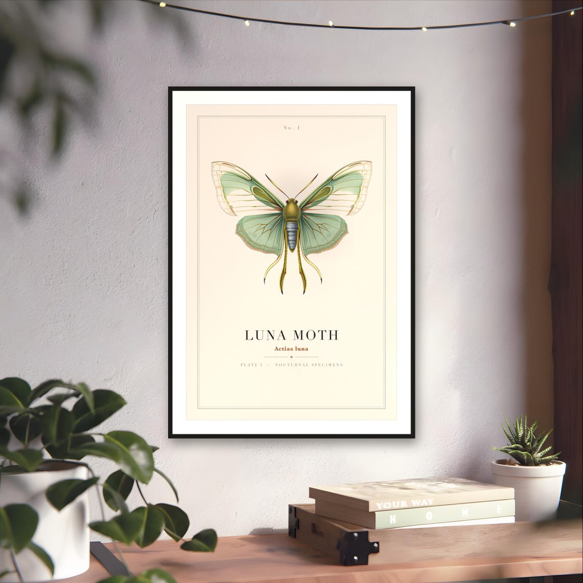 Vintage Luna Moth Specimen Plate Print — art print by WedgeAtelier