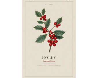 Holly Print, Vintage Botanical Christmas Wall Art, Winter Greenery Specimen Plate, Cottagecore Holiday Decor
