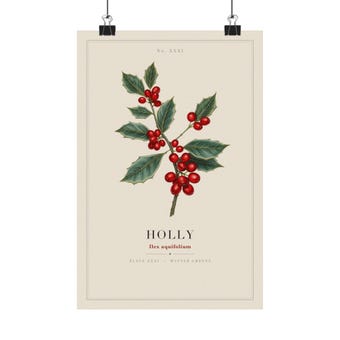 Holly Botanical Christmas Print photo 2