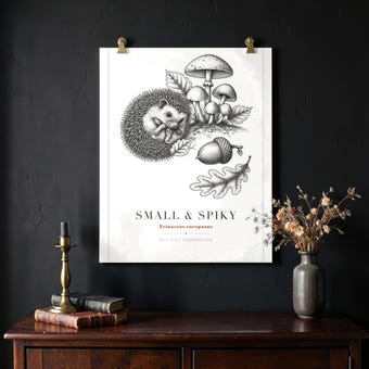 Vintage Hedgehog Mushroom Engraving Print photo 2
