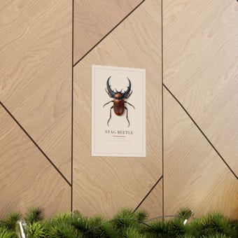 Vintage Stag Beetle Print photo 5