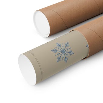 Snow Crystal Study Print photo 3