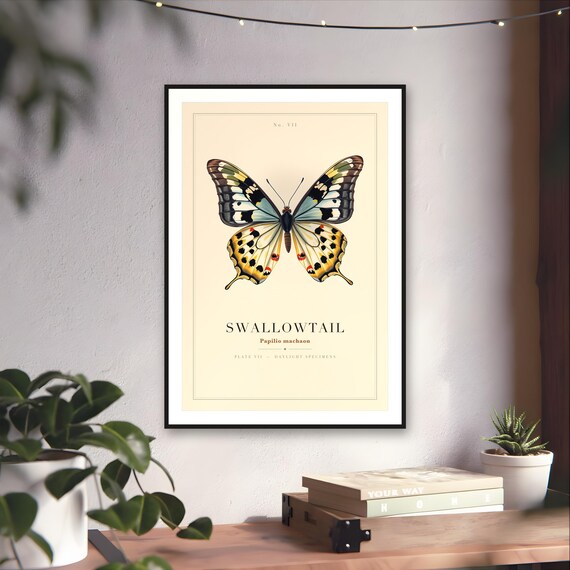 Vintage Swallowtail Butterfly Print — art print by WedgeAtelier