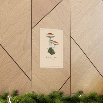Wild Fungi Print photo 5