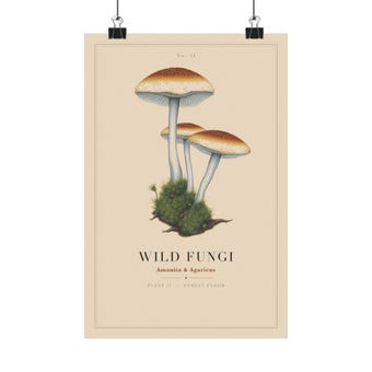 Wild Fungi Print photo 2