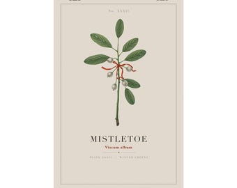 Mistletoe Print, Vintage Botanical Christmas Wall Art, Sage Green Winter Specimen Plate, Cottagecore Holiday Decor