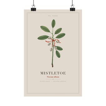Mistletoe Botanical Print photo 2
