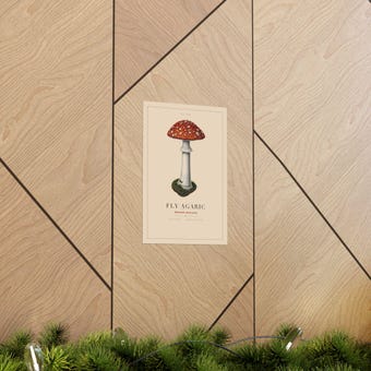 Fly Agaric Mushroom Print photo 5