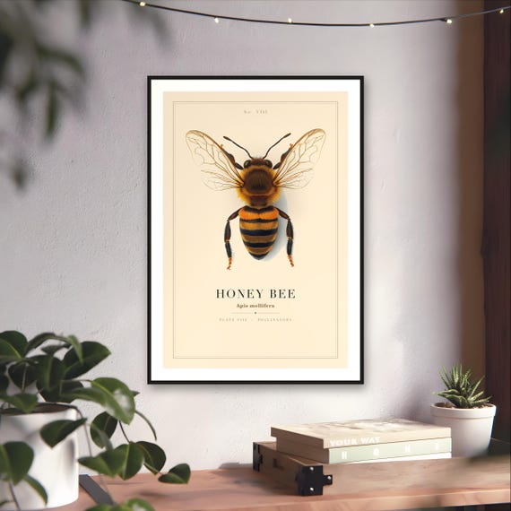 Vintage Honey Bee Specimen Plate Print — art print by WedgeAtelier